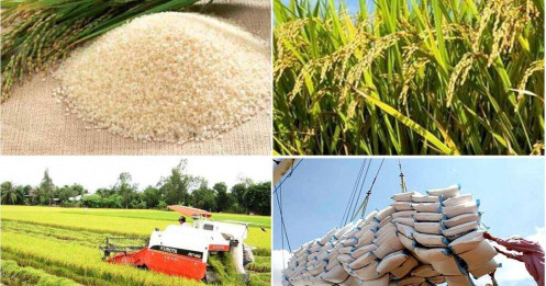 Thủ tướng chỉ đạo “thần tốc” xuất khẩu để giữ vững vị thế gạo Việt