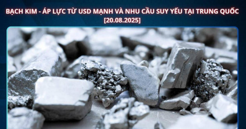 Giá bạch kim 20/08/2025: Áp lực từ USD mạnh, cân bằng với rủi ro nguồn cung
