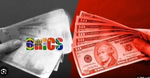 Ấn Độ bác tin kêu gọi BRICS phi đô la hóa