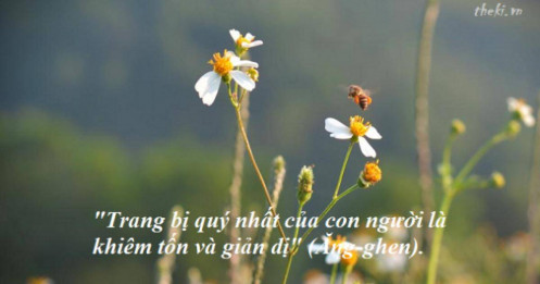 Hành trang quan trọng nhất của 1 con người - Không phải tiền bạc mà là khiêm tốn và giản dị