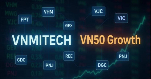 Cổ phiếu nào sẽ lọt vào “rổ” VNMITECH và VN50 Growth?