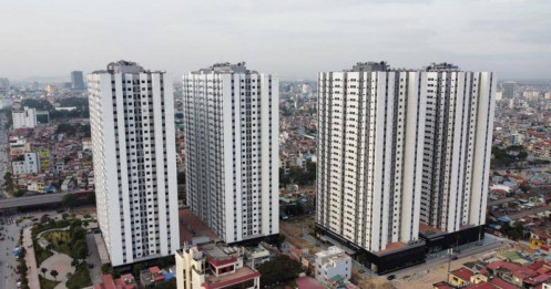 Câu chuyện: “Vợ chồng tôi phân vân giữa chung cư vi bằng và thuê cho đến khi đủ khả năng mua chính chủ”