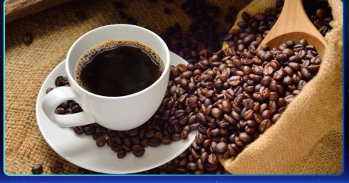 Giá cà phê 22/8: Nội địa điều chỉnh nhẹ nhưng triển vọng trung hạn vẫn sáng nhờ nguồn cung khan hiếm