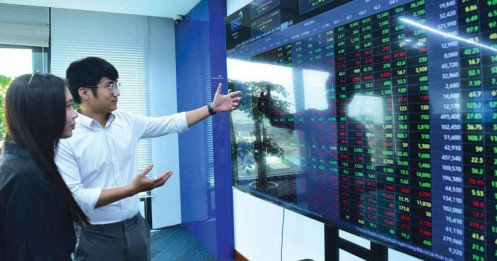 Cổ phiếu Bluechips, Midcap, Penny: Đặc điểm và cách "chọn mặt gửi vàng" cho nhà đầu tư mới