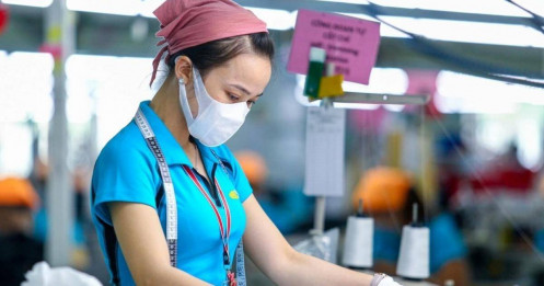 Doanh nghiệp dệt may, da giày 'đau đầu' với hàng giả