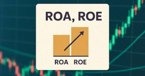 Phân tích cơ bản cho người mới: Hiểu đúng về ROA và ROE