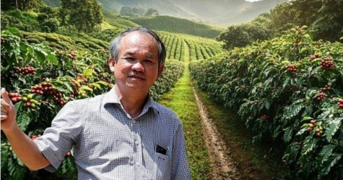 Thoát diện cảnh báo, cổ phiếu HAG sắp “hồi sinh” margin?