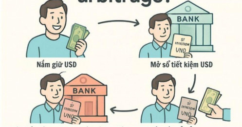 Gửi USD tại ngân hàng rồi thế chấp vay VND để gửi tiết kiệm ăn chênh lệch lãi suất, chuyên gia nói gì?