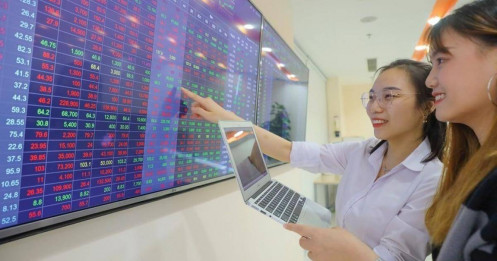 Tái cân bằng danh mục: Sống còn hay mạo hiểm?