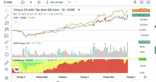 DXG - DXS đồng loạt nổi sóng