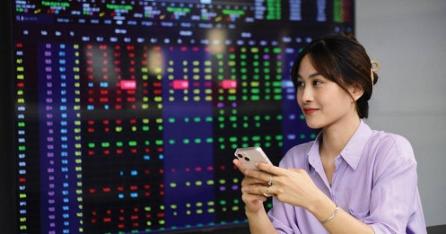 Đỉnh hôm nay, đáy ngày mai và phương án tái cân bằng danh mục