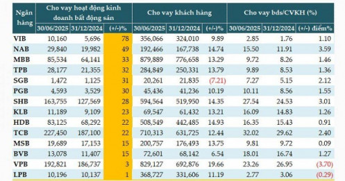 Tín dụng chảy mạnh vào bất động sản không hẳn rủi ro?