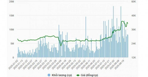 MB muốn bán hơn 10% vốn MBS nhằm tăng tính đại chúng