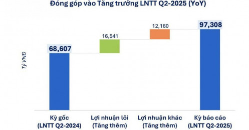 “Vùng xám” lợi nhuận quý 2