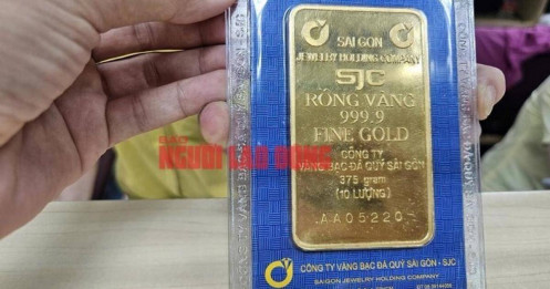 Giá vàng miếng SJC tiếp tục lập đỉnh mới trong sáng 28-8