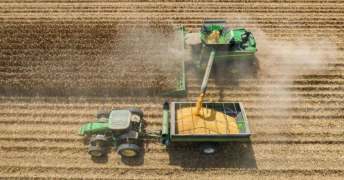 Châu Á đổi trục nhập khẩu, Việt Nam nổi lên như “cửa ngõ” của nông sản Mỹ