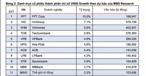 Dự báo top 5 cổ phiếu trong hai chỉ số sắp ra mắt