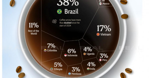 Không thể thay thế: Mỹ có thể chịu được bao lâu nếu thiếu cà phê từ Brazil?