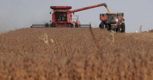 Thuế quan của ông Trump giành lại vị thế cho nông sản Mỹ