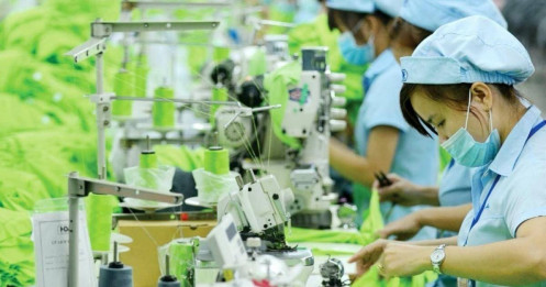 Công ty Gilimex (GIL) công bố tài liệu họp bất thường về vụ kiện 280 triệu USD với Amazon