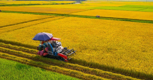 Việt Nam thành cường quốc xuất khẩu nông sản, nhiều mặt hàng dẫn đầu thế giới