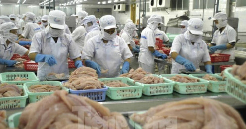 Loạt tổ chức quốc tế dự báo về tăng trưởng kinh tế Việt Nam