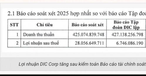 Lãi của DIC Corp tăng thêm 21,31 tỷ đồng sau kiểm toán Báo cáo soát xét bán niên