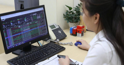 Top 3 siêu cổ phiếu hiệu suất cao buộc phải có trong danh mục?