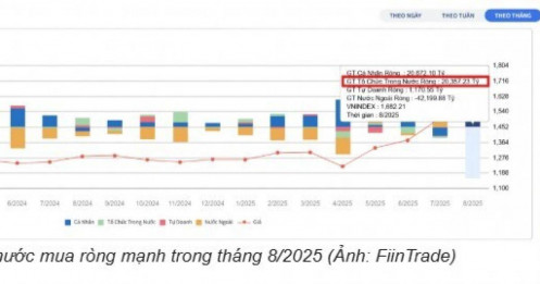 Dòng tiền nội giúp VnIndex thăng hoa trong tháng 8?