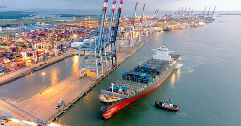 VSC trần tím - siêu cổ nào sẽ đến lượt?