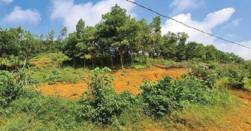 Đất nền tỉnh “nóng” sau sáp nhập