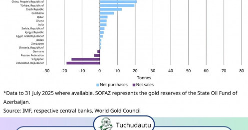 💥 Không phải Trung Quốc, Ba Lan mới là “cỗ máy gom vàng” lớn nhất năm 2025