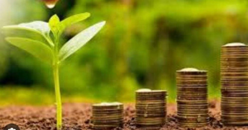 Lịch chốt quyền chia cổ tức bằng tiền của 6 DN, cao nhất 30%