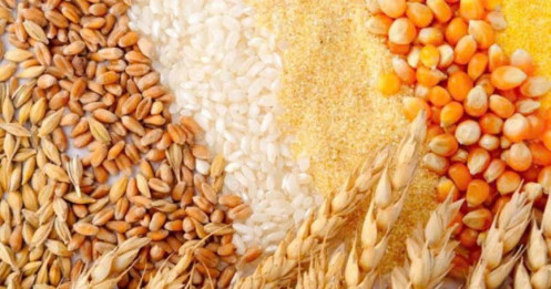 Tổng quan nông sản ngày 5/9: Lúa mì và ngô phục hồi, đậu tương giảm