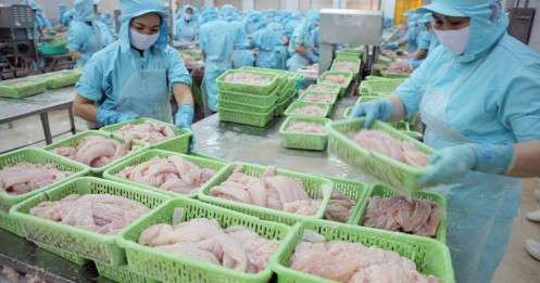 Thuỷ sản mở hướng mới sau áp lực thuế quan