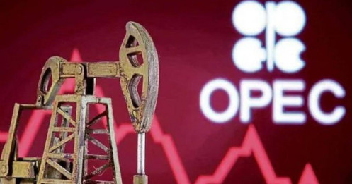 OPEC+ Đẩy Mạnh Sản Lượng: Cuộc Chơi Mới Trên Thị Trường Năng Lượng?