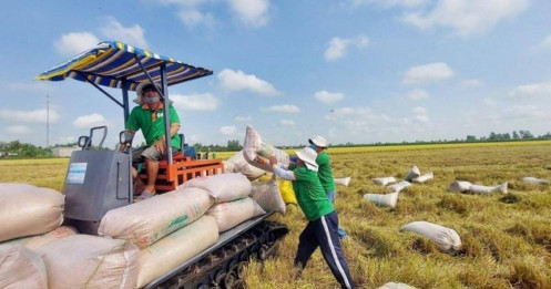 Philippines 'đóng cửa' 60 ngày: Cửa sáng cho gạo Việt?
