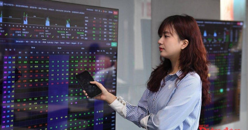 Bí Quyết Giao Dịch: Mua Bán Cổ Phiếu An Toàn Khi Thị Trường Swing 1600 – 1700