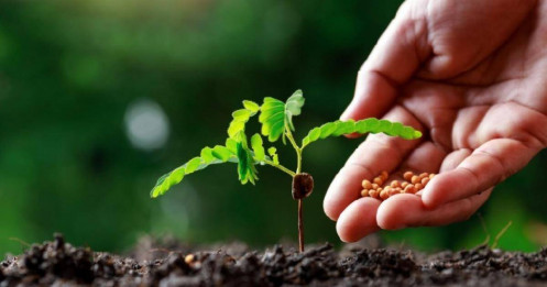 Giá phân bón bước vào chu kỳ mới, kỳ vọng loạt doanh nghiệp hưởng lợi