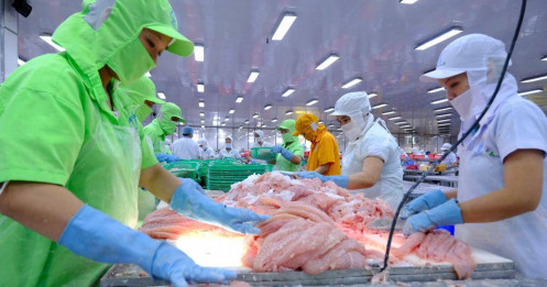 Kim ngạch xuất - nhập khẩu trong 8 tháng đạt gần 600 tỷ USD