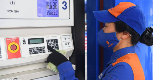 Xăng E10: Lộ trình chuyển đổi và giải pháp để thành công