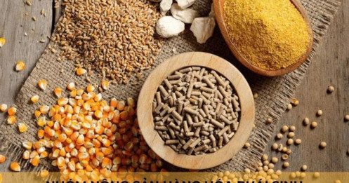 Thị trường nông sản 8/9: Lúa mì lập đáy mới, đậu tương thiếu hợp đồng với Trung Quốc, ngô giữ vững xuất khẩu