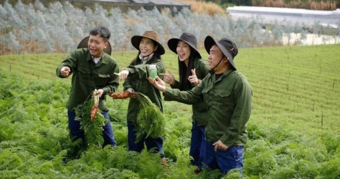 Kẹo Kera mở lối… thẳng vào trại giam