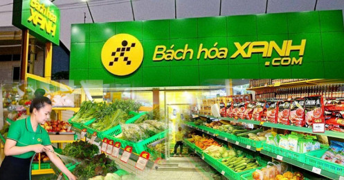 MWG và câu chuyện tăng trưởng: Cơ hội nào cho nhà đầu tư 2025?