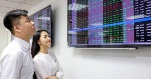 Thị trường bứt phá, tổ chức trong nước trở thành động lực chính