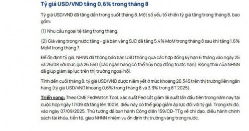 Những động thái giúp tỷ giá USD/VND ổn định