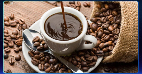 Giá cà phê hôm nay 11/09/2025: Đắk Nông vượt 116.900 đồng/kg, Brazil giảm mạnh xuất khẩu