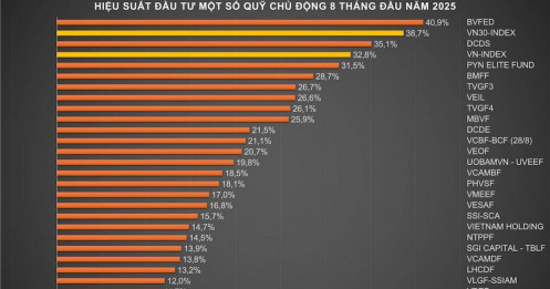 Quỹ đầu tư lép vế trước VN-Index