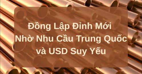 Đồng Lập Đỉnh Mới Nhờ Nhu Cầu Trung Quốc và USD Suy Yếu