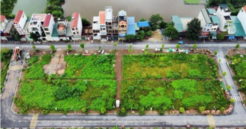 Gắn mã định danh cho từng thửa đất